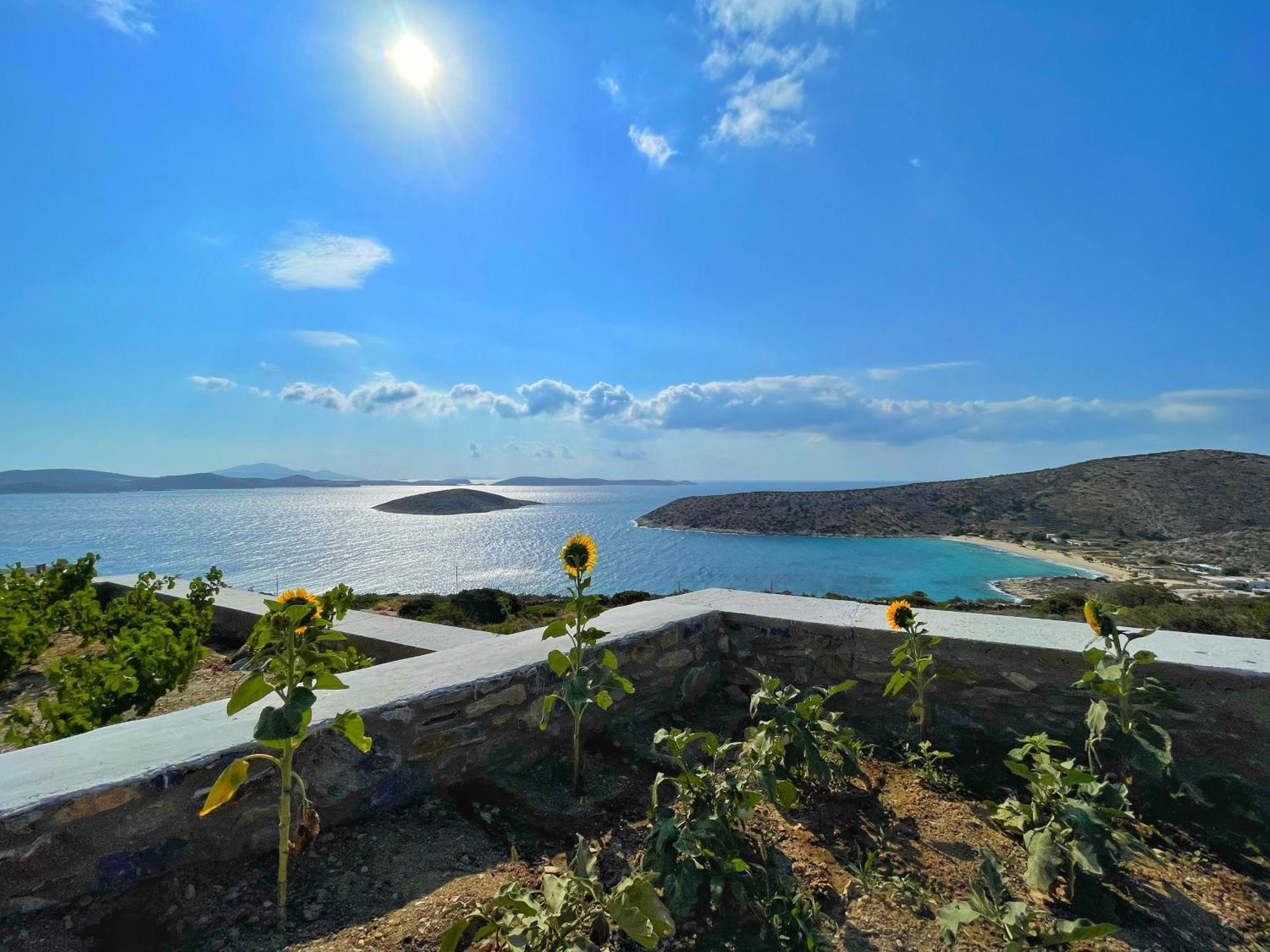 Meltemi Retreat Otel Irakleia  Dış mekan fotoğraf