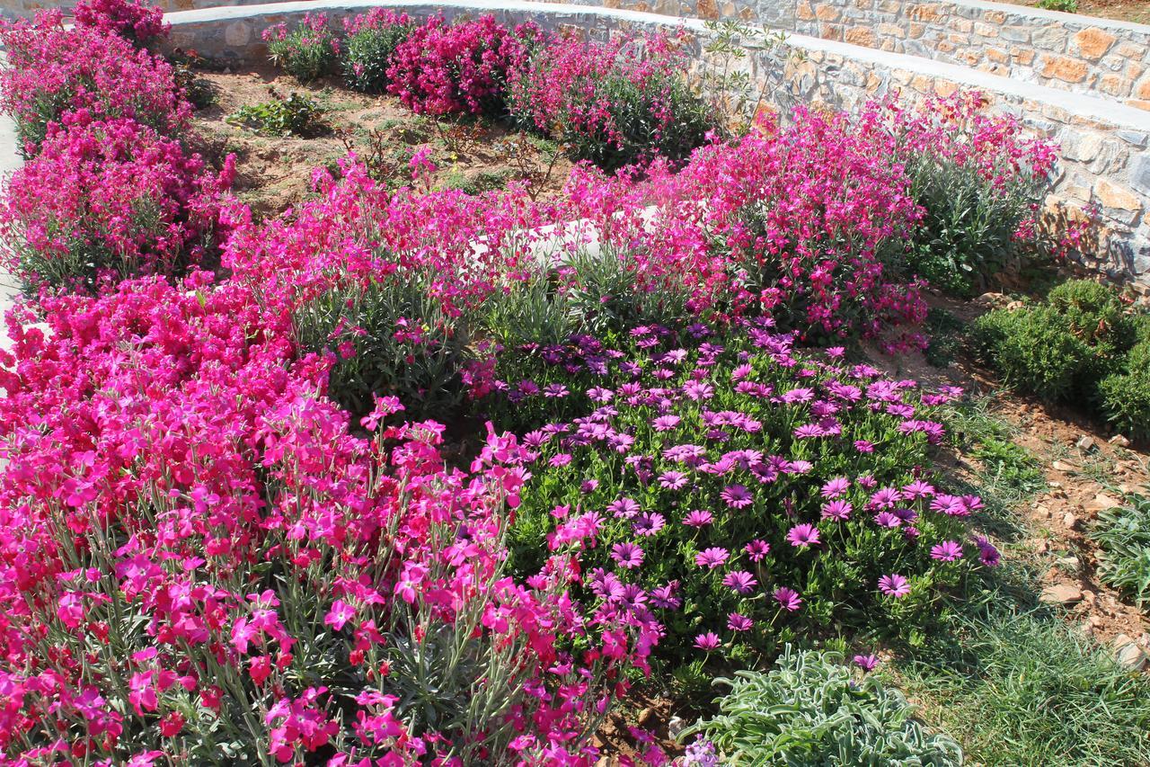 Meltemi Retreat Otel Irakleia  Dış mekan fotoğraf