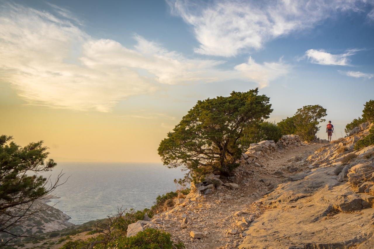 Meltemi Retreat Otel Irakleia  Dış mekan fotoğraf